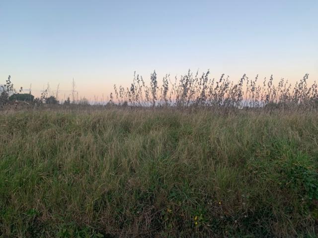 Terrain vente à Marmande, La Sauvetat-du-dropt