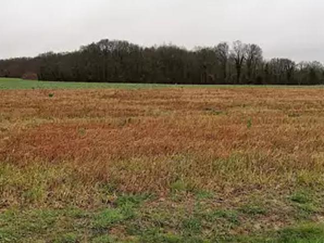 Terrain vente à Montargis, La Selle-sur-le-bied