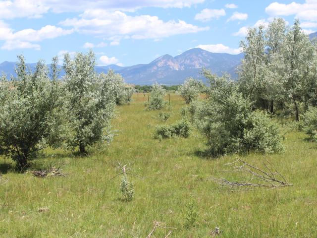 Land for sale in El Prado, New Mexico