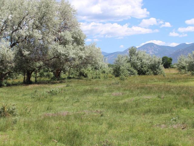 Property for sale in El Prado, New Mexico