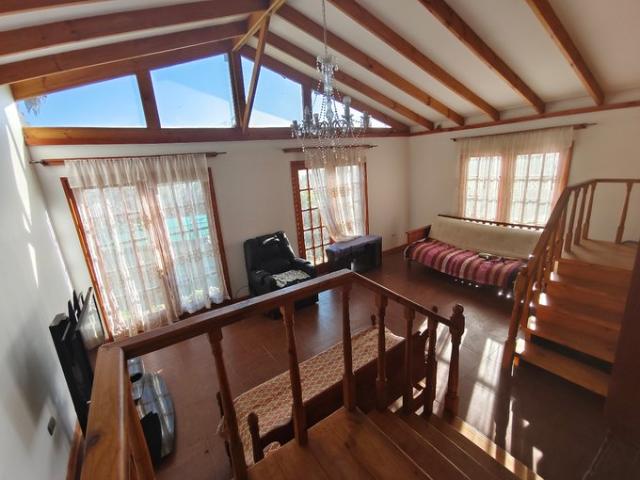 La Serena, El Angelino