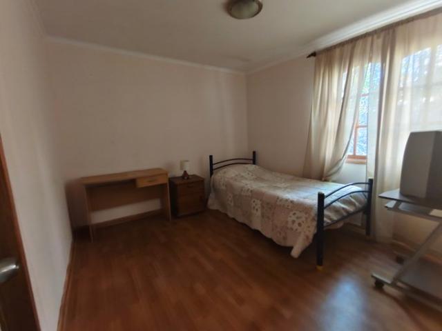 La Serena, El Angelino