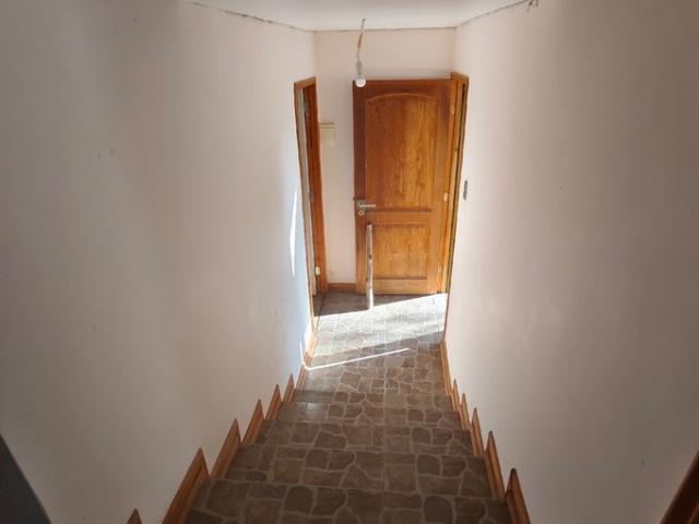 La Serena, El Angelino