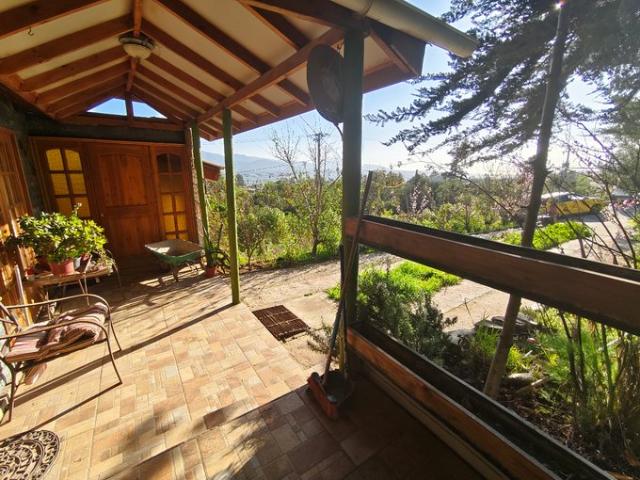 La Serena, El Angelino