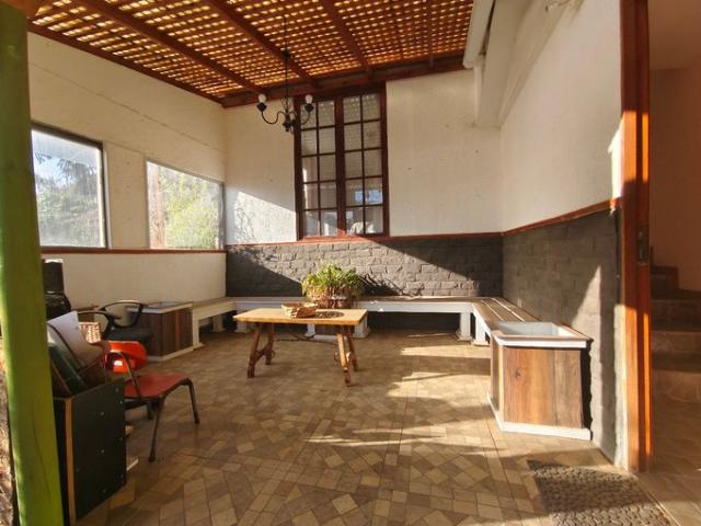 La Serena, El Angelino