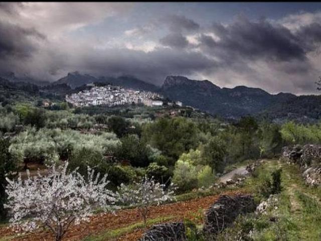Casa en alquiler en Paüls, Tarragona