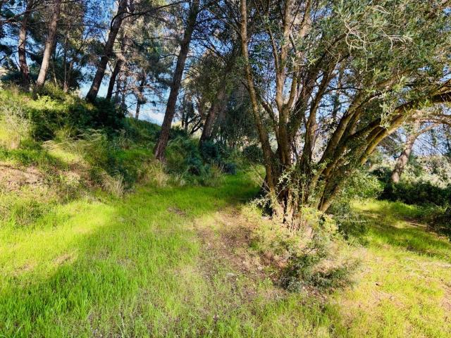 Terrain vente à Arrondissement de Toulon, La Seyne-sur-mer