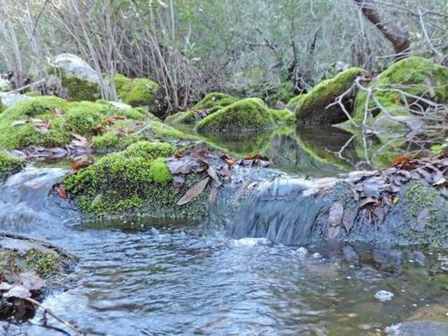 Casa en alquiler en Campo de Gibraltar, Andalucía