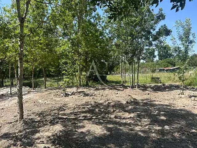 Terrain vente à Fontenay-le-Comte, La Taillée