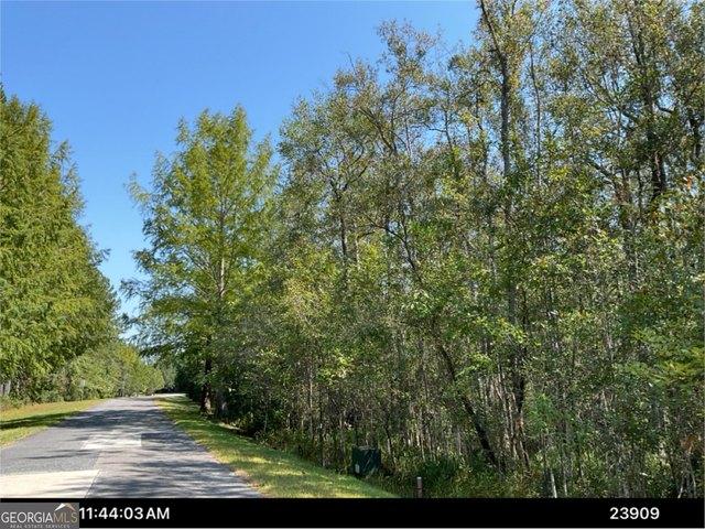 Land for sale in Waverly, Georgia