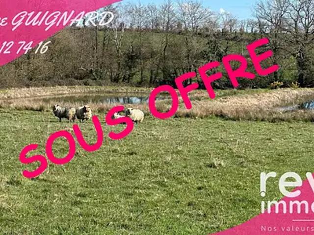 Terrain vente à Cholet, La Tessoualle