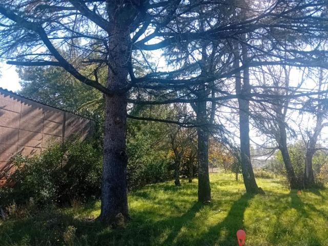 Terrain vente à France métropolitaine, La Teste-de-buch