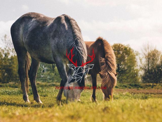 Terrain vente à France métropolitaine, La Teste-de-buch