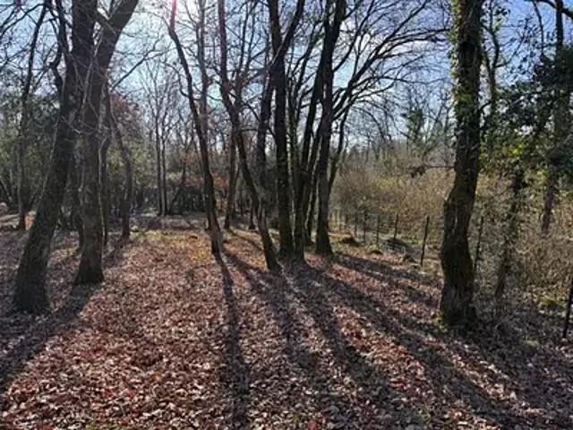 Terrain vente à Périgueux, La Tour-blanche