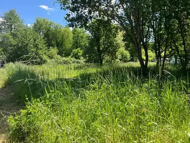 Terrain vente à Rochefort, La Tremblade