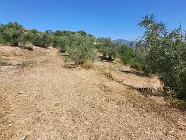 Terrain vente à Nice, La Trinité