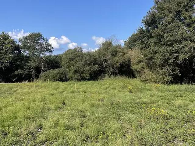Terrain vente à Saint-Nazaire, La Turballe
