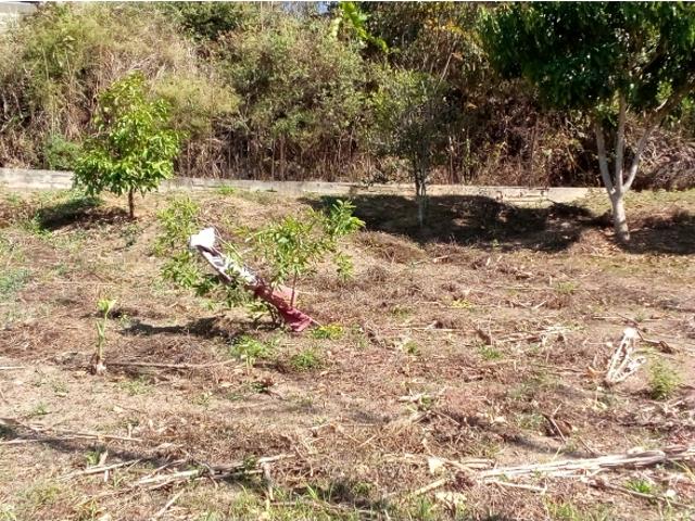 Terreno en venta en Boca De Uchire, Miranda