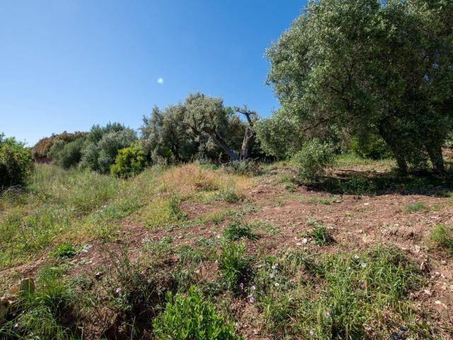 Terrain vente à Arrondissement de Toulon, La Valette-du-var
