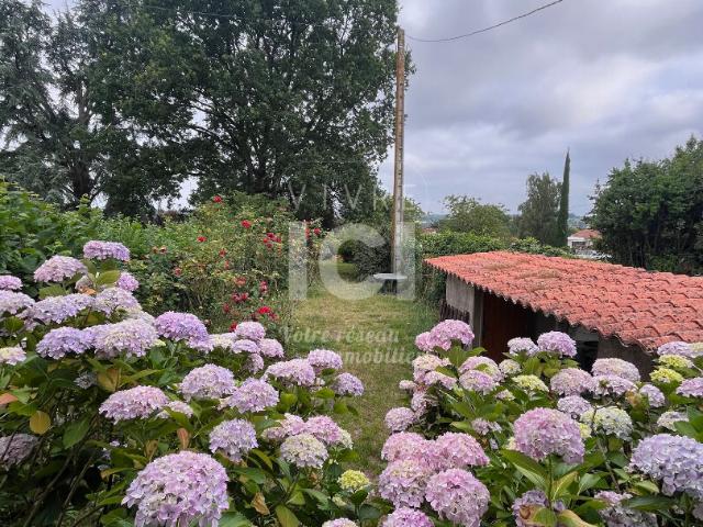 Maison vente à Cholet, Champtoceaux