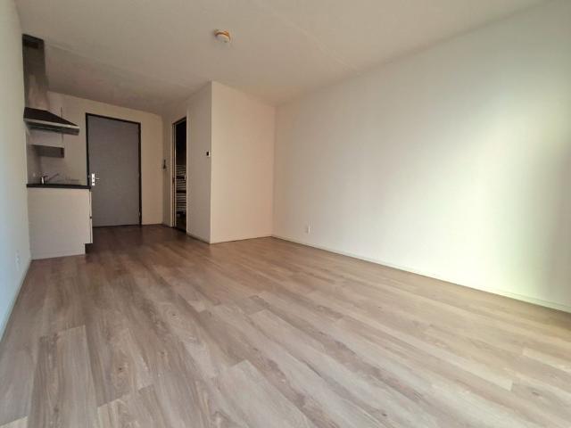 Appartement te huur in Binckhorst, Laak