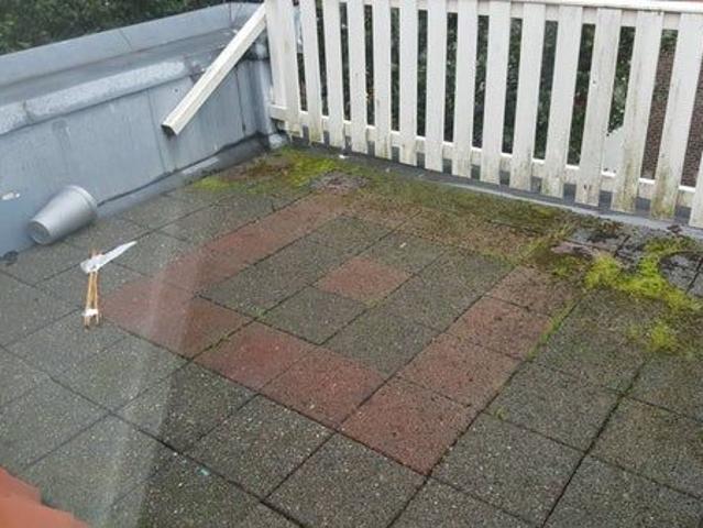 Room te huur in Den Haag, Bloemenbuurt