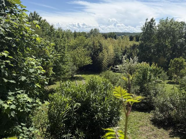 Maison vente à Labastide-d'Anjou, Aude