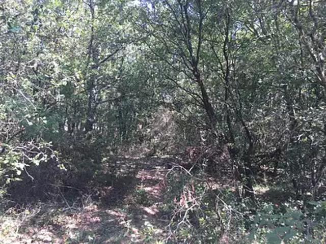 Terrain vente à Largentière, Labastide-de-virac