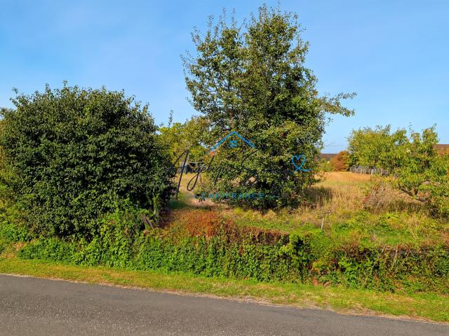 Terrain vente à L'Abergement-de-Cuisery, Saône-et-Loire