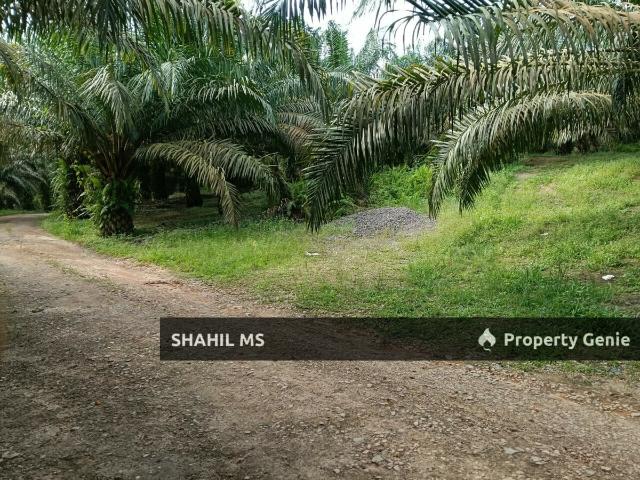 Property for sale in Labis, Johor
