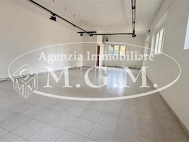 Appartamento in affitto a San Giovanni alla Vena, Vicopisano