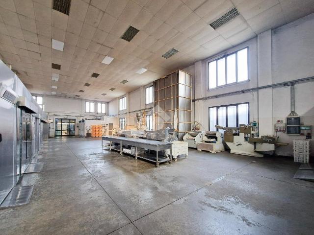 Locale Commerciale in vendita a Castagnaro, Veneto