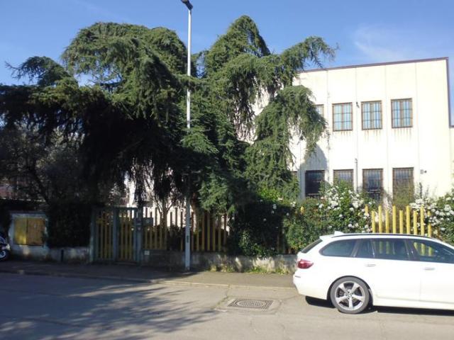 Locale Commerciale in vendita a Arezzo