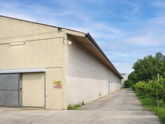 Locale Commerciale in vendita a Sedegliano, Friuli-Venezia Giulia