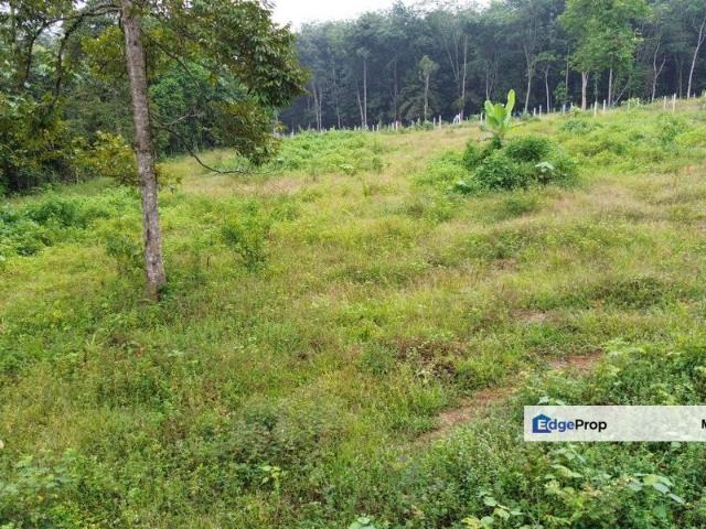 House for sale in Labu Jaya, Negeri Sembilan