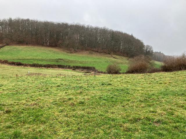 Terrain vente à Lacapelle-Viescamp, Cantal
