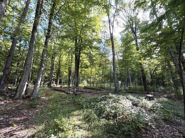 Land for sale in Pownal