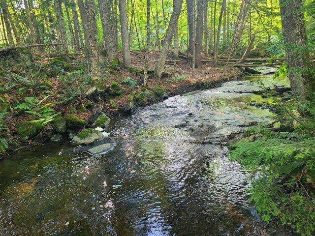 Land for sale in Sebec, Piscataquis County