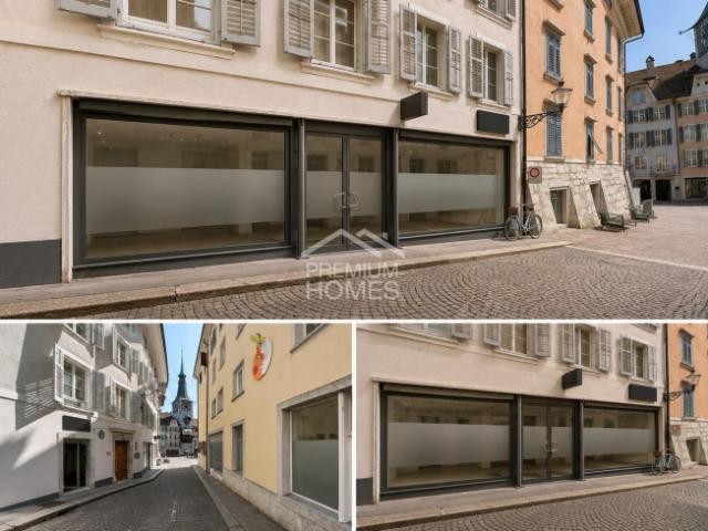 Wohnung mieten in Solothurn