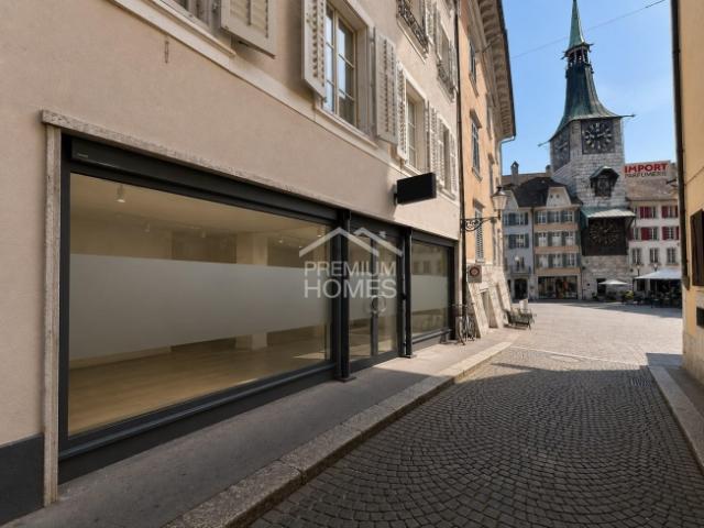 Wohnung mieten in Solothurn