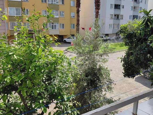 Dalaman, Muğla içerisinde satılık mülk