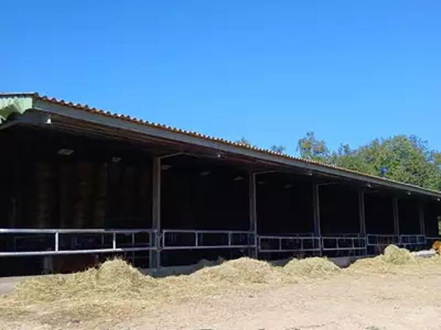 Maison vente à Limoges, Ladignac-le-long