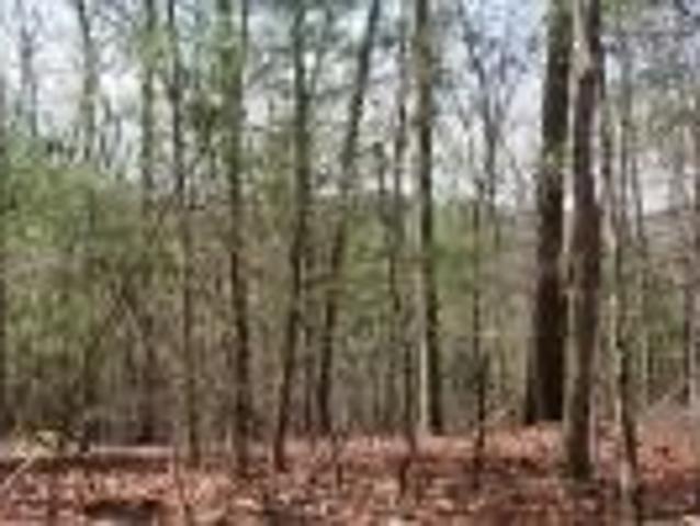 Land for sale in Murphy, North Carolina