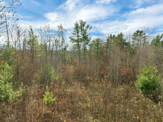 Land for sale in New Hampshire