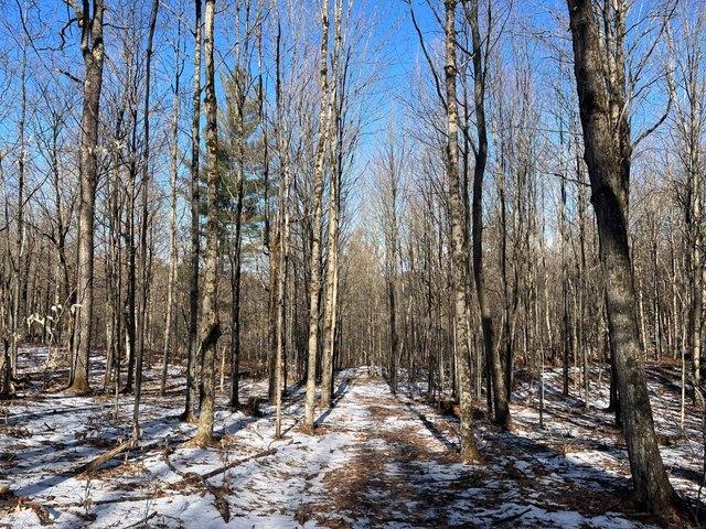 Land for sale in Russell, New York