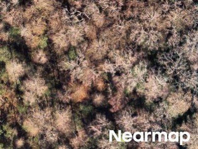 Land for sale in De Leon Springs, Florida