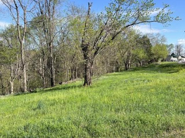 Land for sale in Tennessee