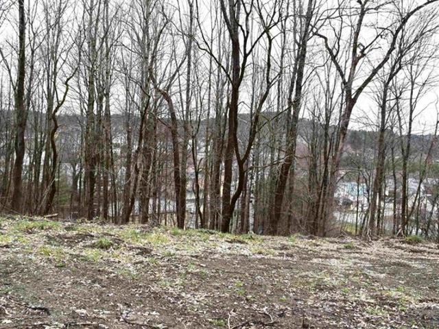Land for sale in Saint Johnsbury, Vermont
