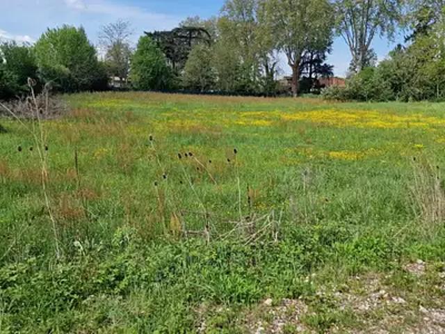 Terrain vente à France métropolitaine, Lafox