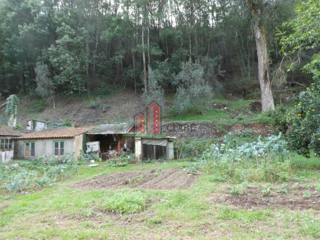 Casa venda em Coimbrã, Torres Do Mondego